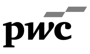 PWC recruitment partner