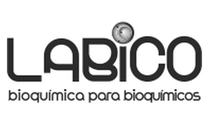 LABICO recruitment partner